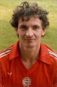 Borostyan Mihaly