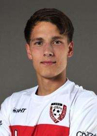 Zastawnik Mikolaj