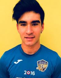 Pettinari Enrico